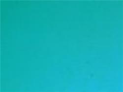 Wissmach Turquoise Smooth (25 Double Rolled)