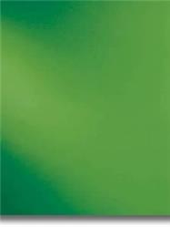 Spectrum Light Green Smooth Fusible (121SF)